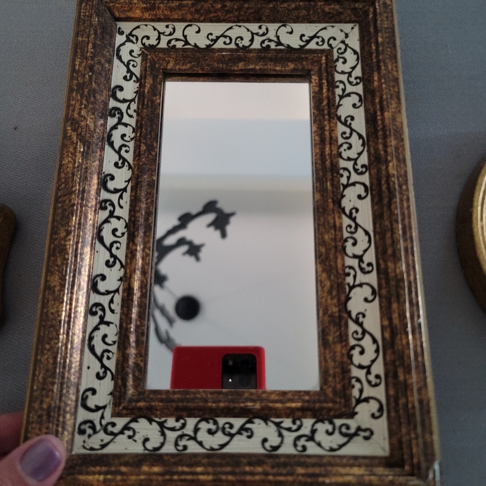 VINTAGE Turner mirror